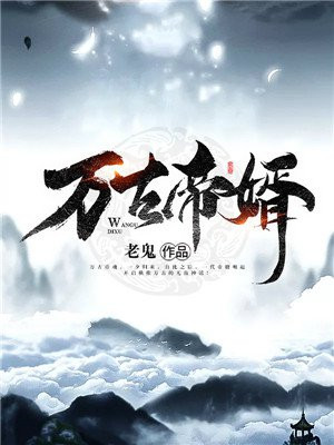 万古帝婿夜玄完整版