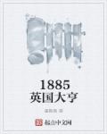 1885英国大亨 小说