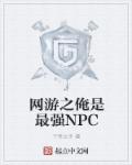 网游之我是npc 小说