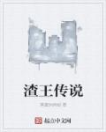 渣王是什么意思