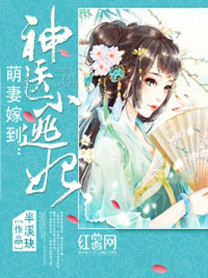 神医小宠妃