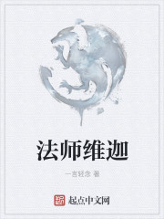 法师维迦吧