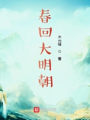 春回大明朝 木允锋 著