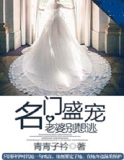 名门婚宠老婆别闹了