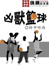 nba凶兽壹号位 小说