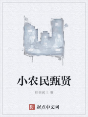 小农民甄贤