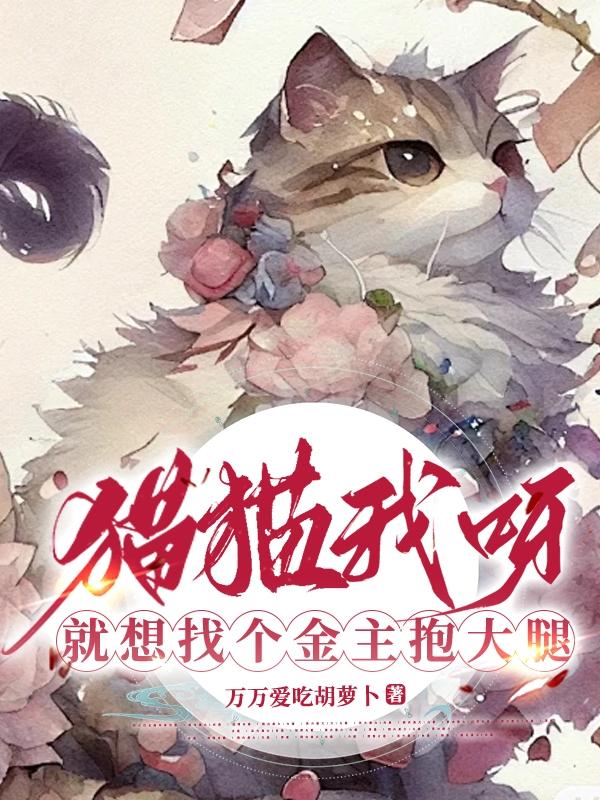 我要找我猫