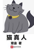 猫真人卡友