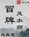 冒牌风水师完结版