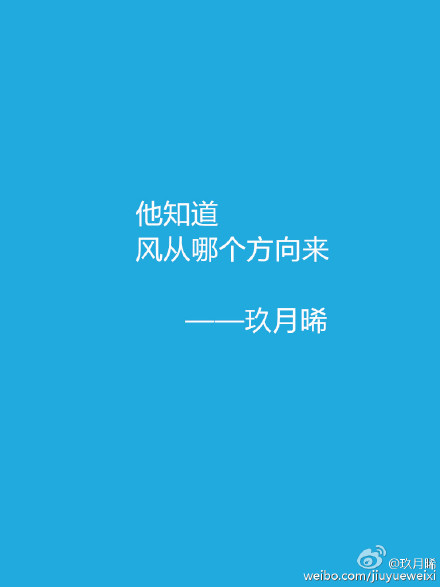 他知道风从哪个方向来抄袭了哪本小说