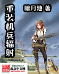 重装机兵辐射txt