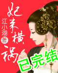 妃来横祸江小湖 小说